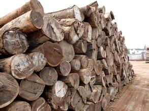 深圳木材進口報關公司圖片,深圳木材進口報關公司高清圖片 洽源木材進口報關報檢代理公司,