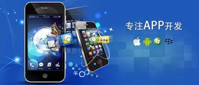 長春APP開發(fā)與網(wǎng)站建設指南 如何選擇優(yōu)質服務公司